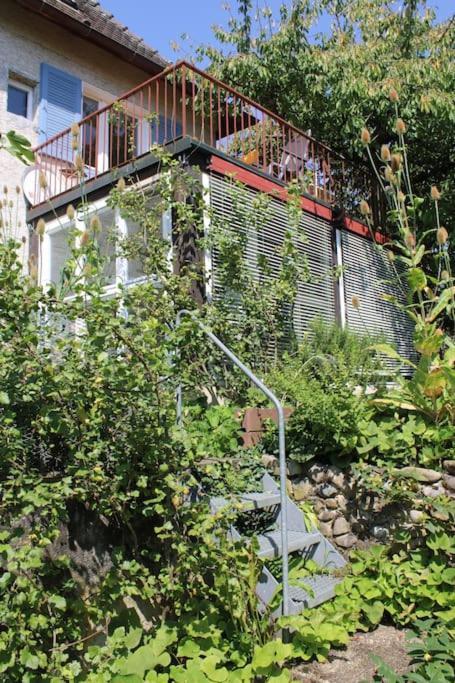 Erholung mit Seesicht, Terrasse und Garten Uberlingen Exterior foto